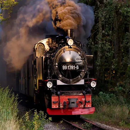 Sturmmoewe ゼリン