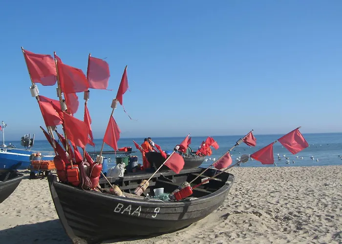 Sturmmoewe * ゼリン